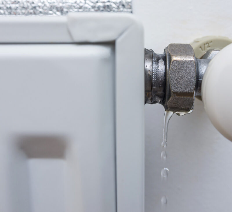 Hot Water System Elanora