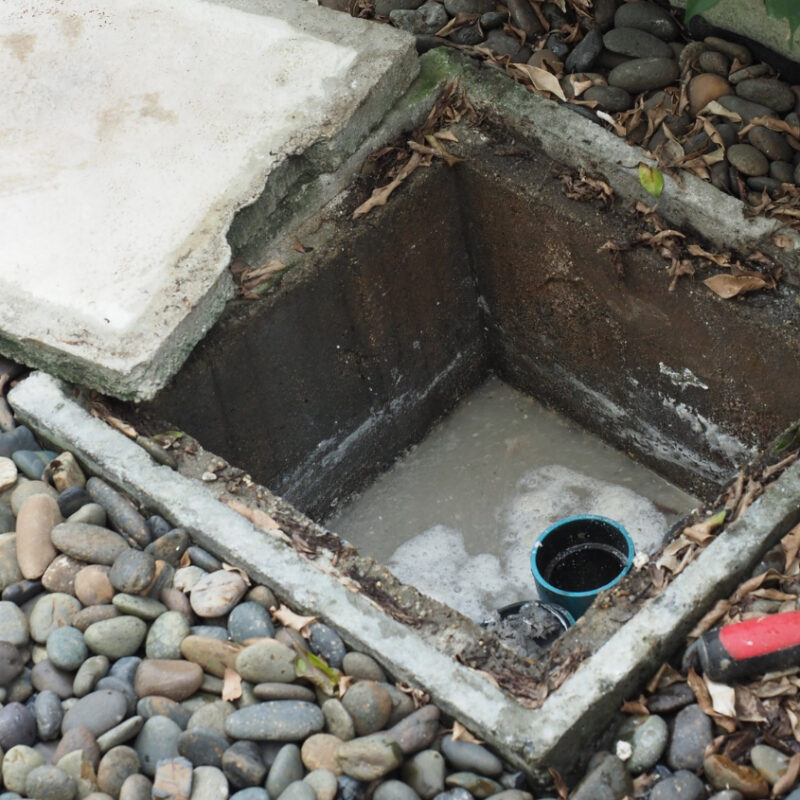 clear drains